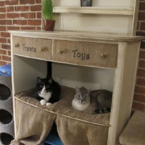 Cat-Condo-from-Destroyed-Dresser-300x300