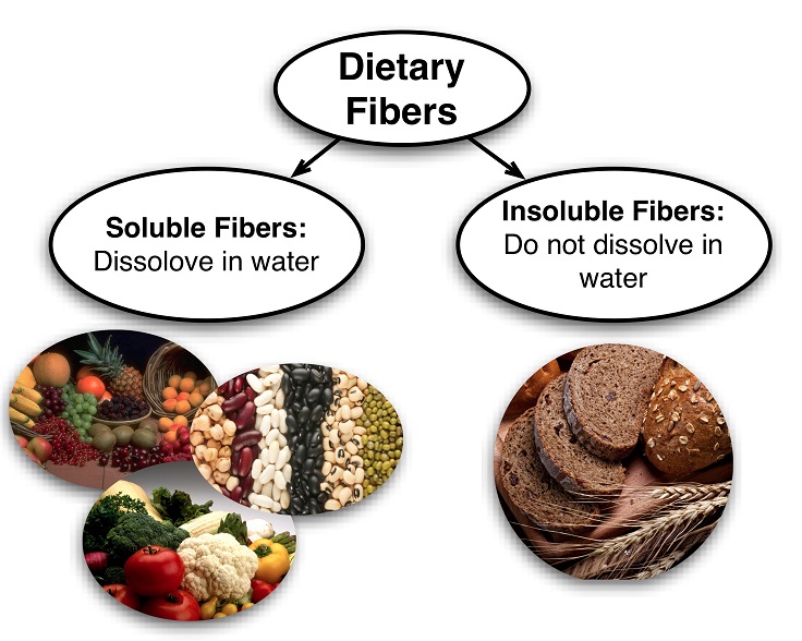 blood typ o and the high fiber diet