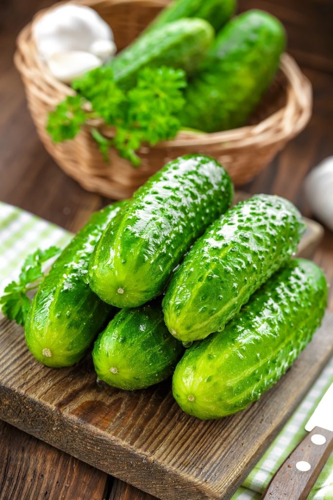 Top 10 Tips on Growing Cucumbers in The Home Garden