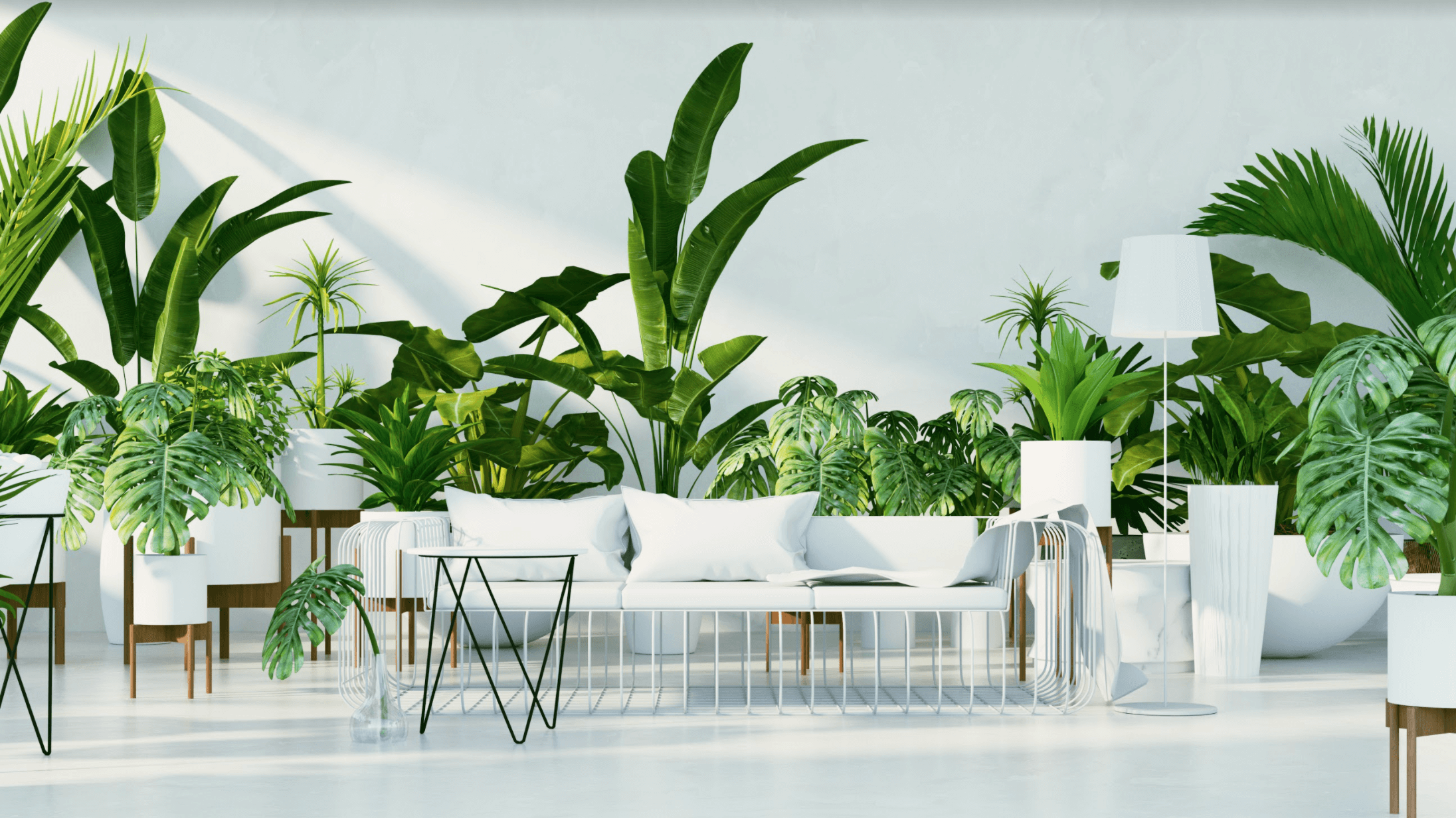 TOP 6 Décor Tips To Make Your Home A Tropical Paradise