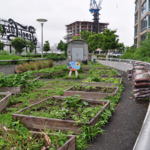 urban-farming-300x300