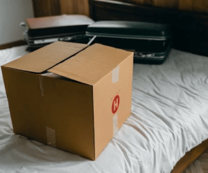 Top 4 Things You Must Know When You Are Moving