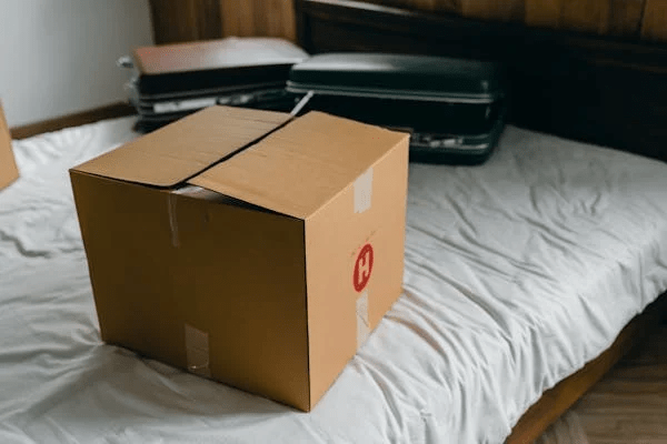 Top 4 Things You Must Know When You Are Moving