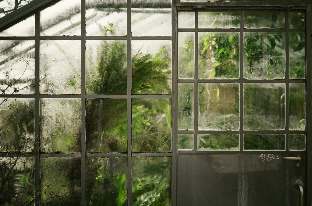 Greenhouse-1024x678