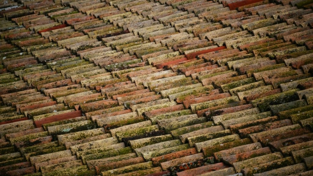 Roof-leak-1024x577