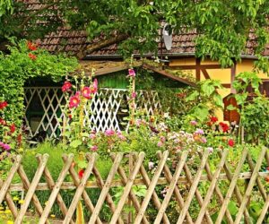 Top 6 Tips for Choosing and Building a Garden Structure