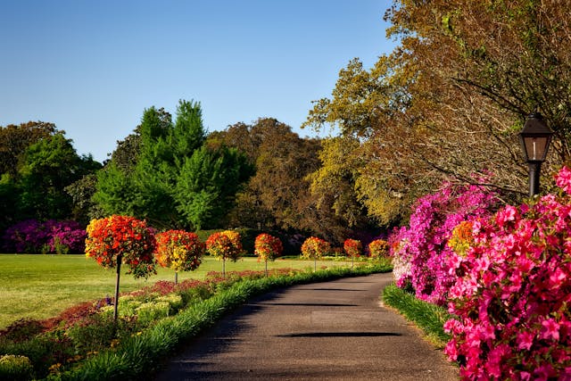 Outdoor Space